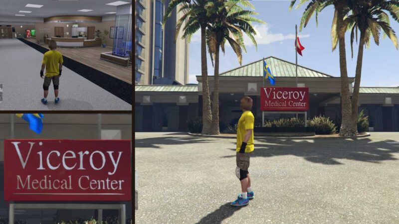 fivem viceroy hospital