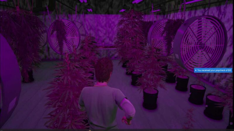 "Explore clandestine operations in FiveM with fivem drug lab locations Discover strategic locations and immersive labs for an intense gaming experience."