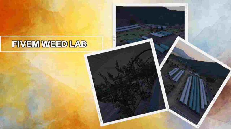 Weed Lab in FiveM Roleplay Server